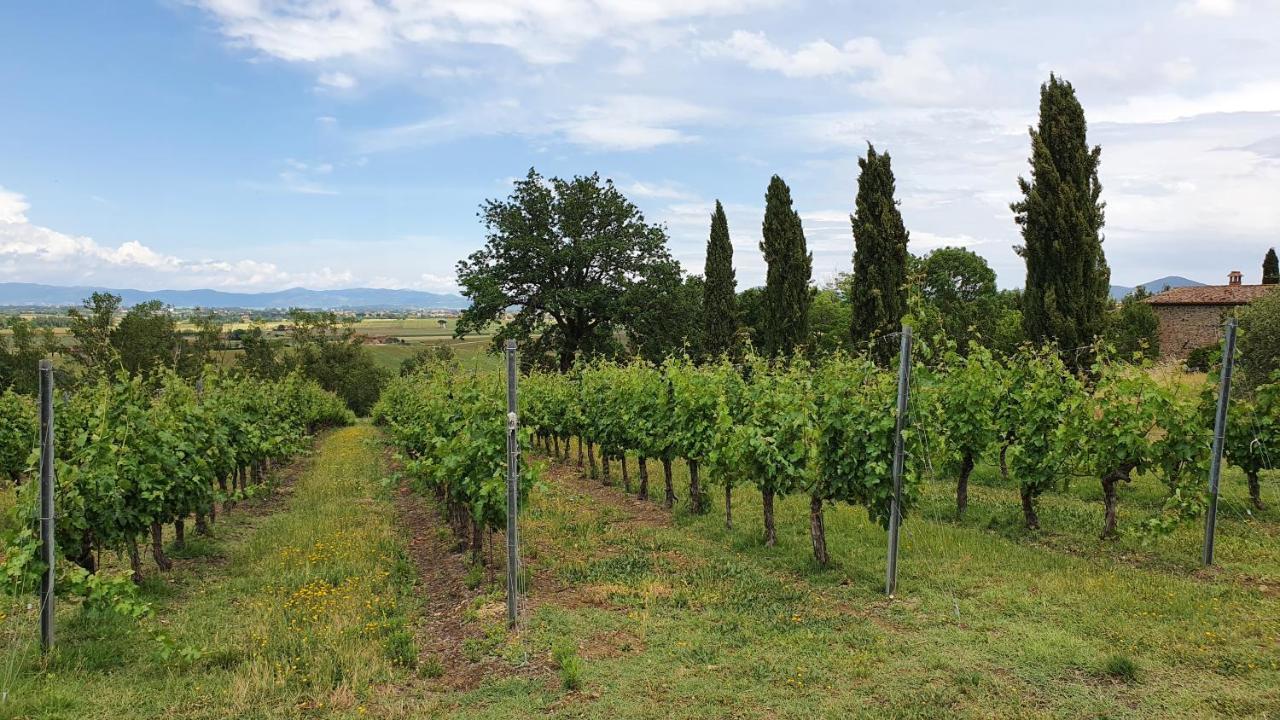 Vacanze Sant Andrea Paciano Esterno foto