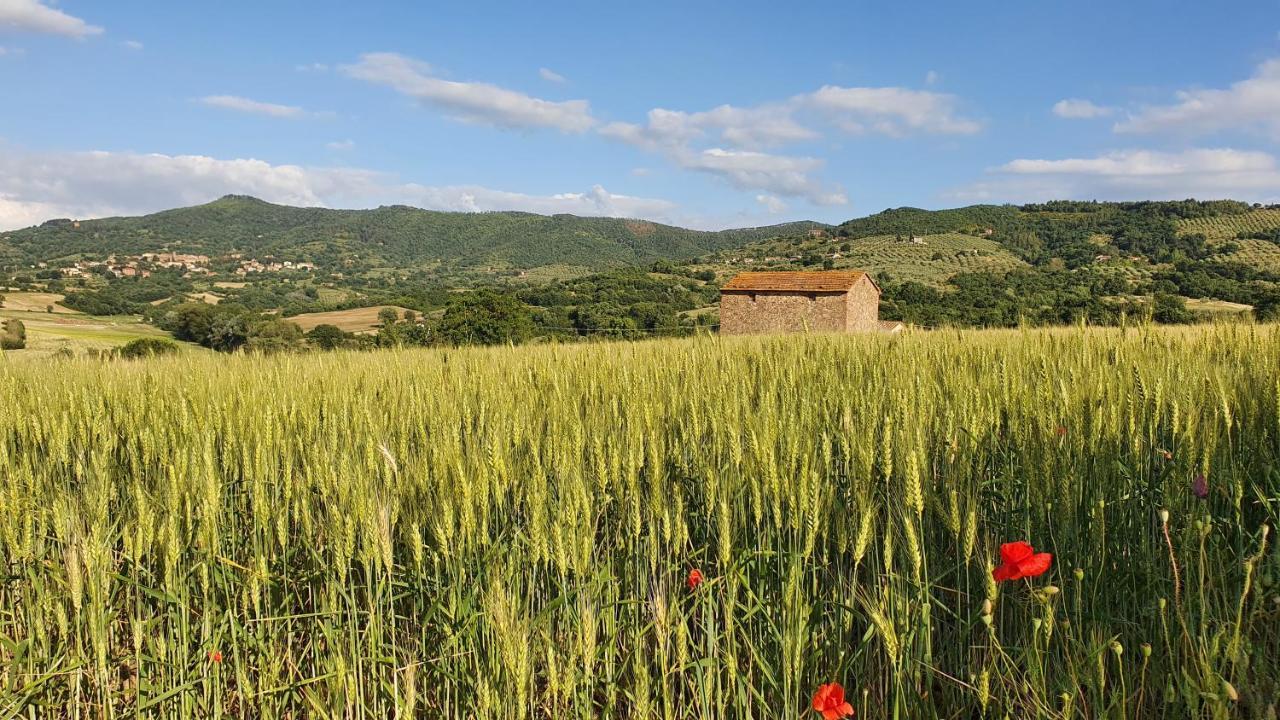 Vacanze Sant Andrea Paciano Esterno foto