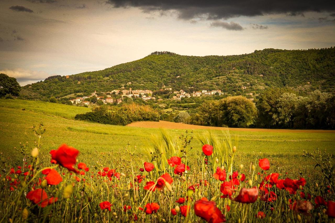 Vacanze Sant Andrea Paciano Esterno foto